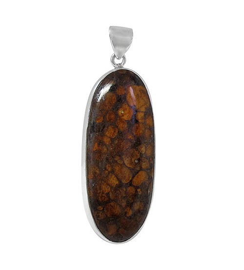 Oval Dinosaur Stone Pendant, Sterling Silver